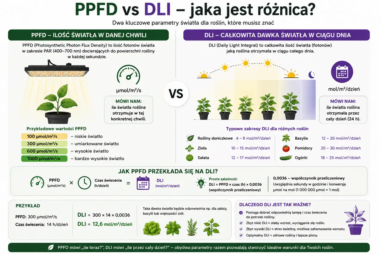 PPFD vs DLI jaka jest różnica - oświetlenie roślin